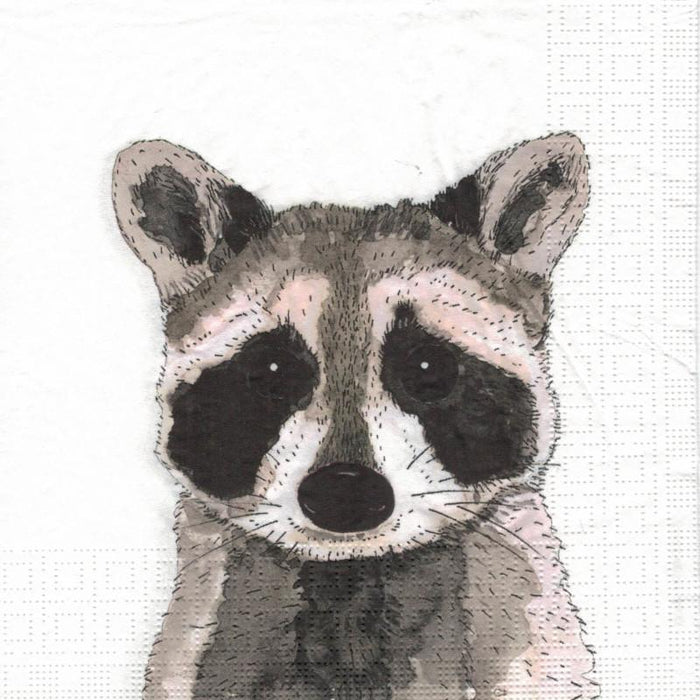Serviette - Raccoon