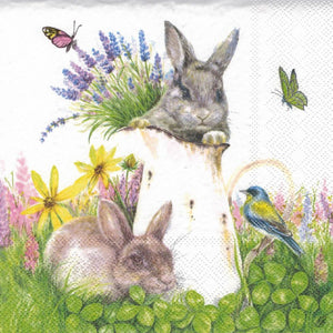 Serviette - Young rabbits - Bastelschachtel - Serviette - Young rabbits