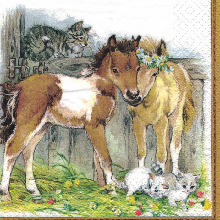 Serviette - Kitten and foals in stable