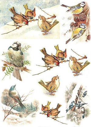 Reispapier A4 - Wintervögel - Bastelschachtel - Reispapier A4 - Wintervögel
