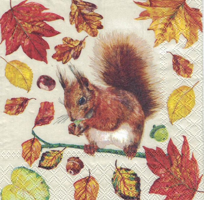 Serviette - Eating squirrel