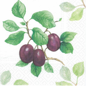 Serviette - Garden plum - Bastelschachtel - Serviette - Garden plum