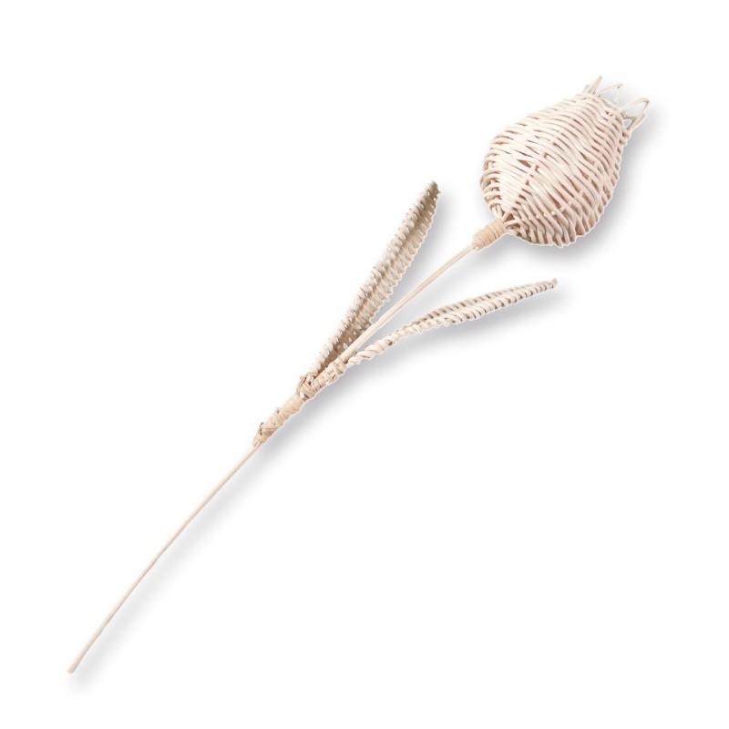 Bastelset aus Peddigrohr - Tulpe - Bastelschachtel