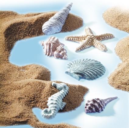 Gießform - Sea shells - Bastelschachtel