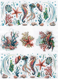 Motiv Transparentpapier A4 - Underwater world - Bastelschachtel