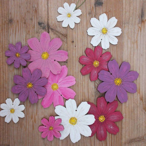 Pentart Acrylfarbe matt 50ml - lila - Bastelschachtel - Pentart Acrylfarbe matt 50ml - lila