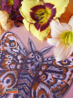 Pentart Acrylfarben Set matt 3x50ml - Set 2. - Bastelschachtel