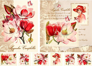 Reispapier 32x45cm - Magnolia campbelli - Bastelschachtel - Reispapier 32x45cm - Magnolia campbelli