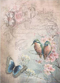 Reispapier A4 - Birdie darling - Bastelschachtel