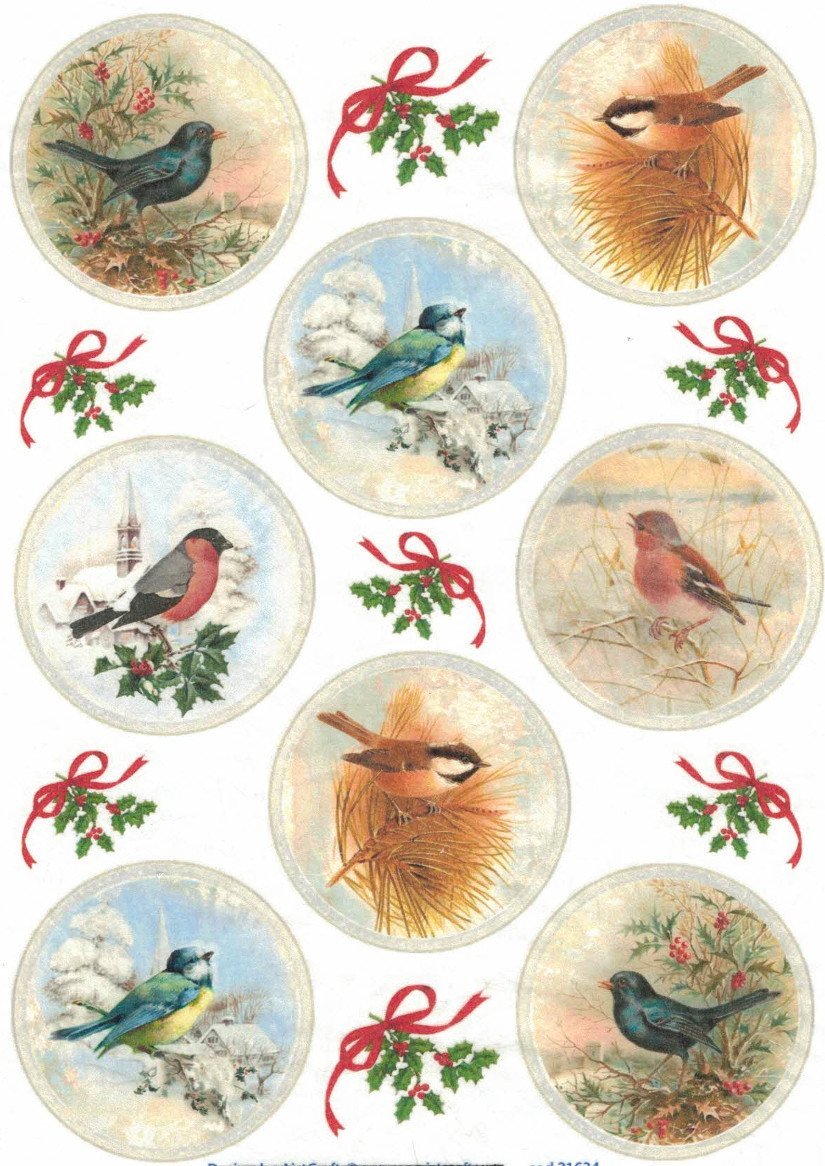 Reispapier A4 - Birds portrait - Bastelschachtel - Reispapier A4 - Birds portrait
