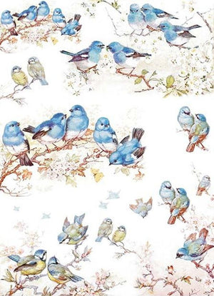 Reispapier A4 - Bluebirds - Bastelschachtel - Reispapier A4 - Bluebirds