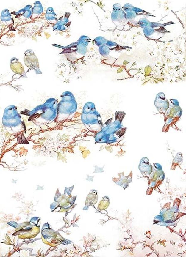 Reispapier A4 - Bluebirds
