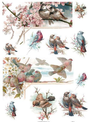 Reispapier A4 - Cherry birds - Bastelschachtel - Reispapier A4 - Cherry birds