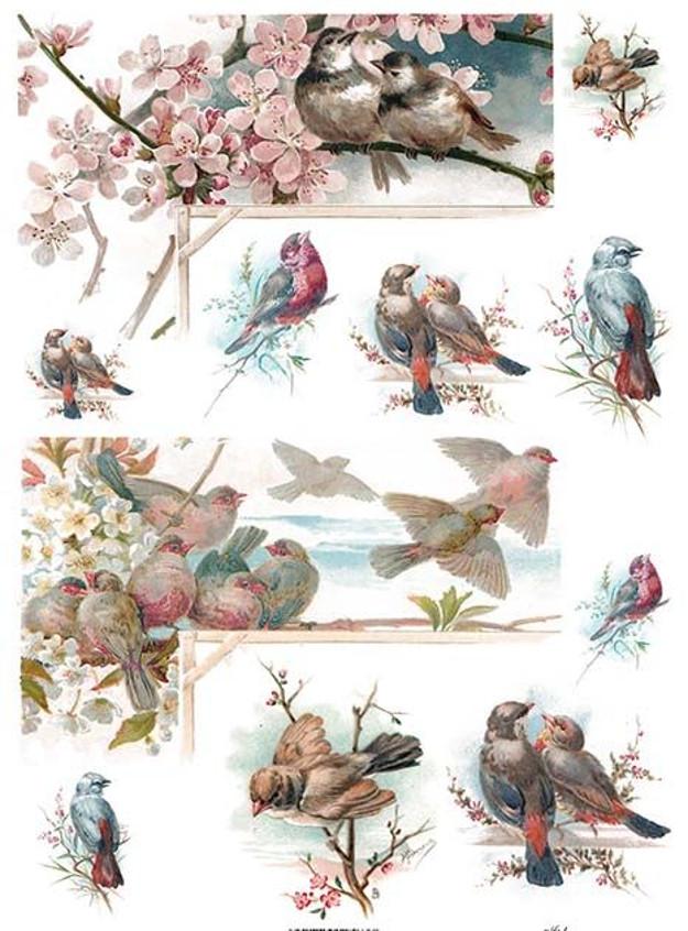 Reispapier A4 - Cherry birds