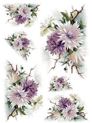 Reispapier A4 - Chrysantheme - Bastelschachtel - Reispapier A4 - Chrysantheme