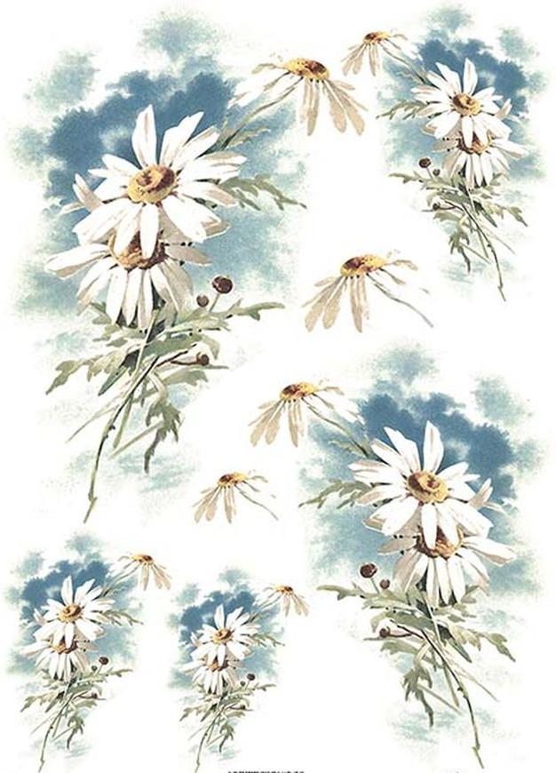 Reispapier A4 - Daisies - Bastelschachtel