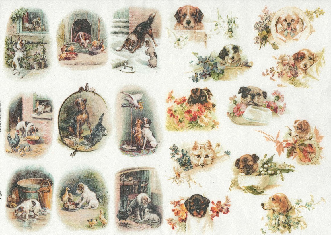 Reispapier A4 - Dogs with friends - Bastelschachtel - Reispapier A4 - Dogs with friends