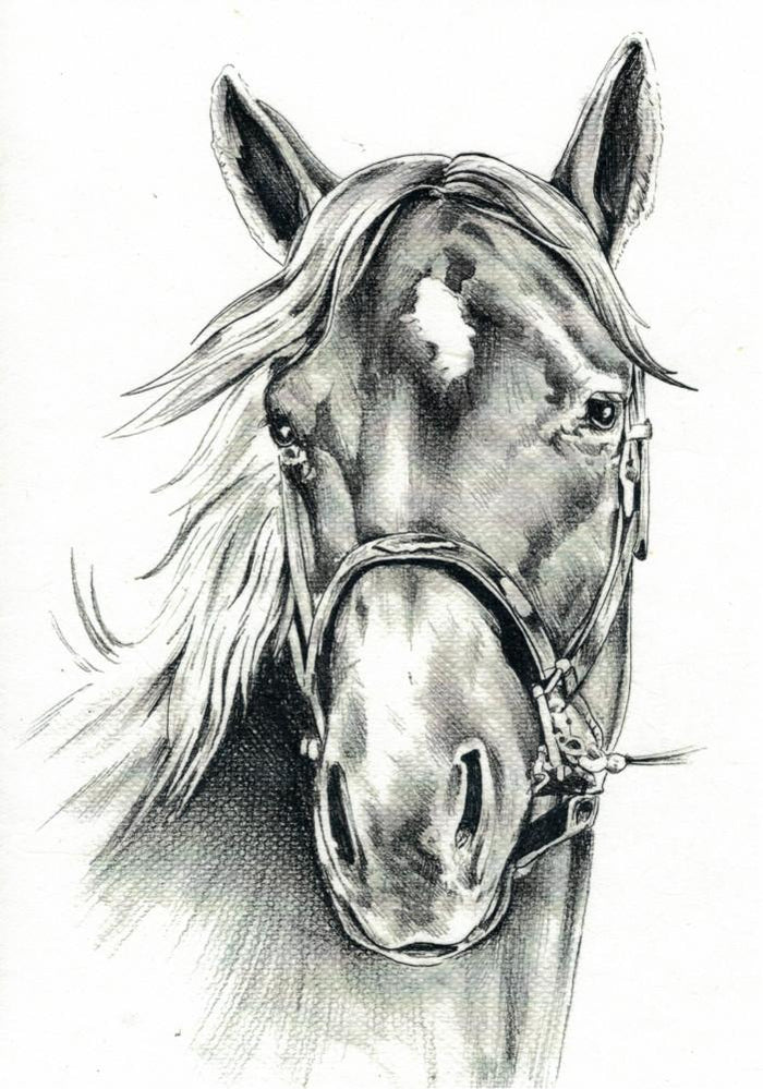 Reispapier A4 - Horse portrait