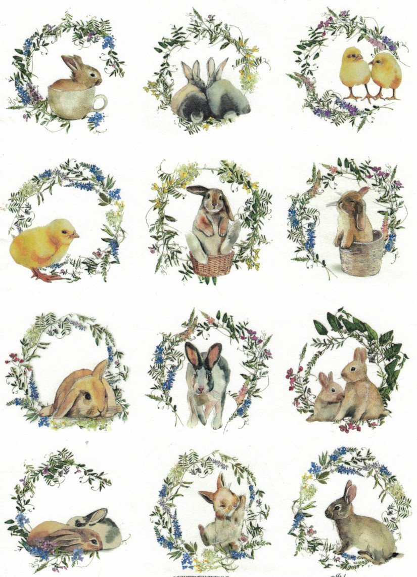 Reispapier A4 - Lovely bunny - Bastelschachtel