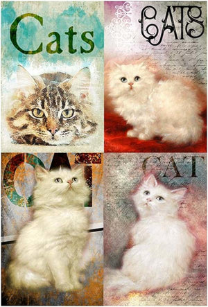 Reispapier A4 - Lovely cats - Bastelschachtel - Reispapier A4 - Lovely cats