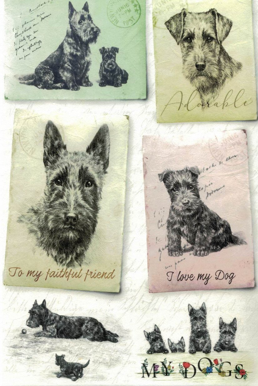 Reispapier A4 - My dogs - Bastelschachtel
