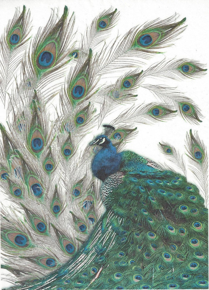 Reispapier A4 - Pfau