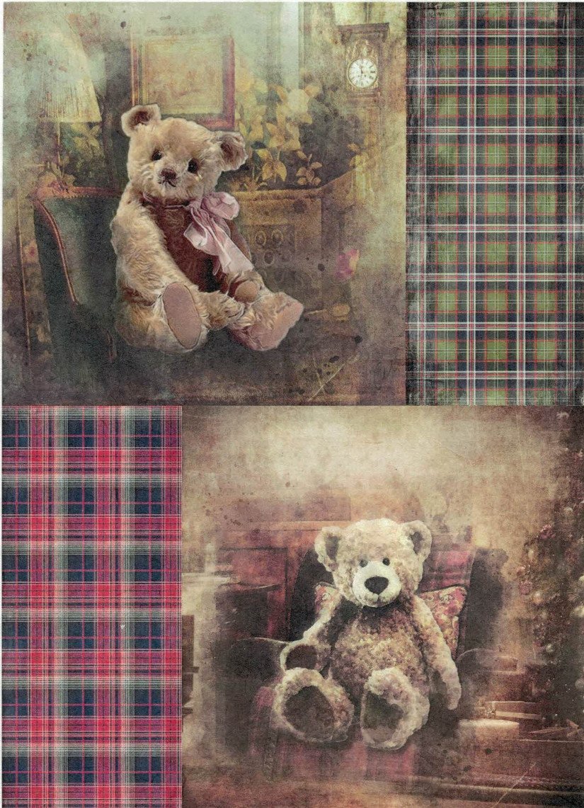 Reispapier A4 - Portrait of teddy - Bastelschachtel - Reispapier A4 - Portrait of teddy