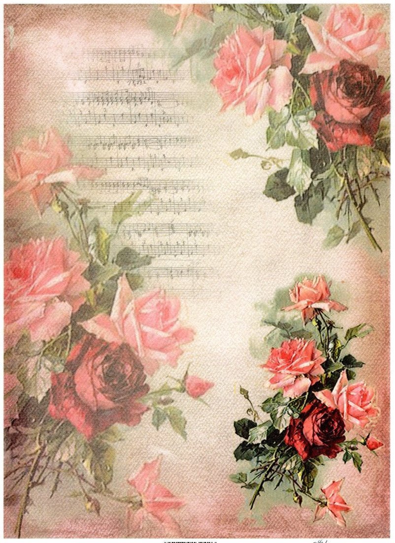 Reispapier A4 - Red rose with score - Bastelschachtel