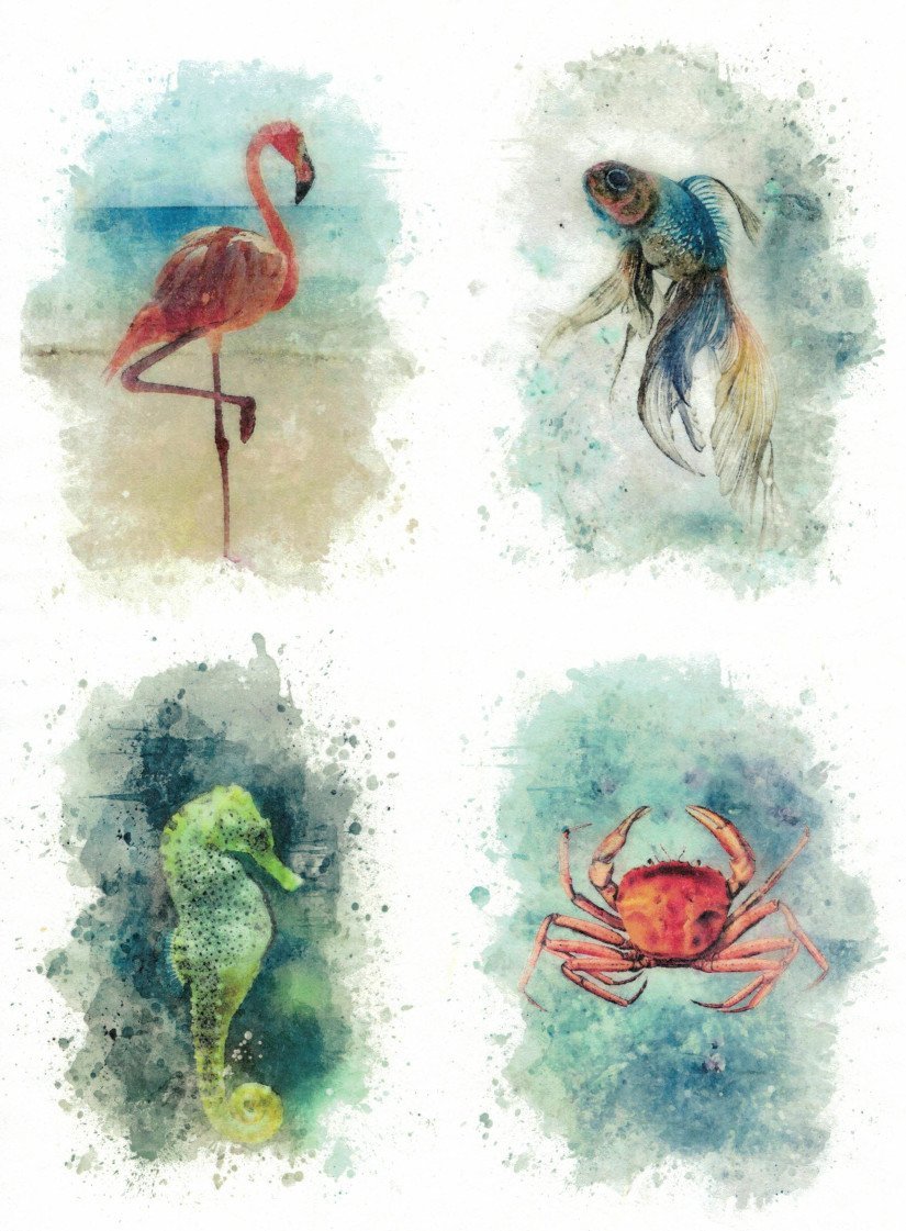 Reispapier A4 - Sea animals - Bastelschachtel