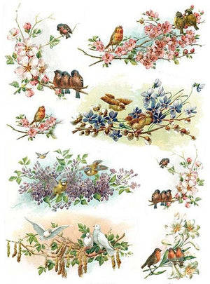 Reispapier A4 - Spring birds - Bastelschachtel - Reispapier A4 - Spring birds