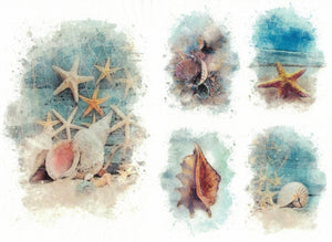 Reispapier A4 - Starfish and shells - Bastelschachtel - Reispapier A4 - Starfish and shells