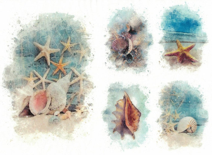 Reispapier A4 - Starfish and shells