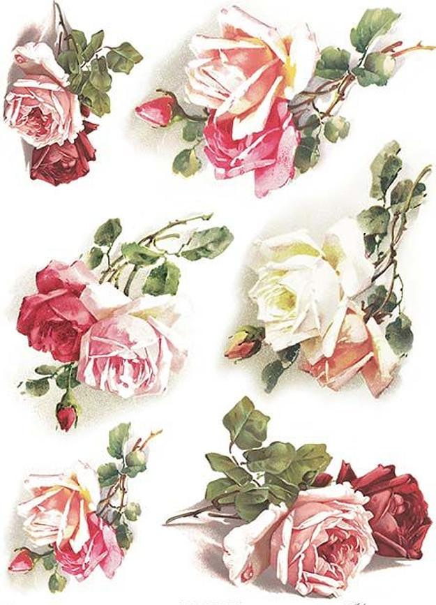 Reispapier A4 - Teerosen - Bastelschachtel