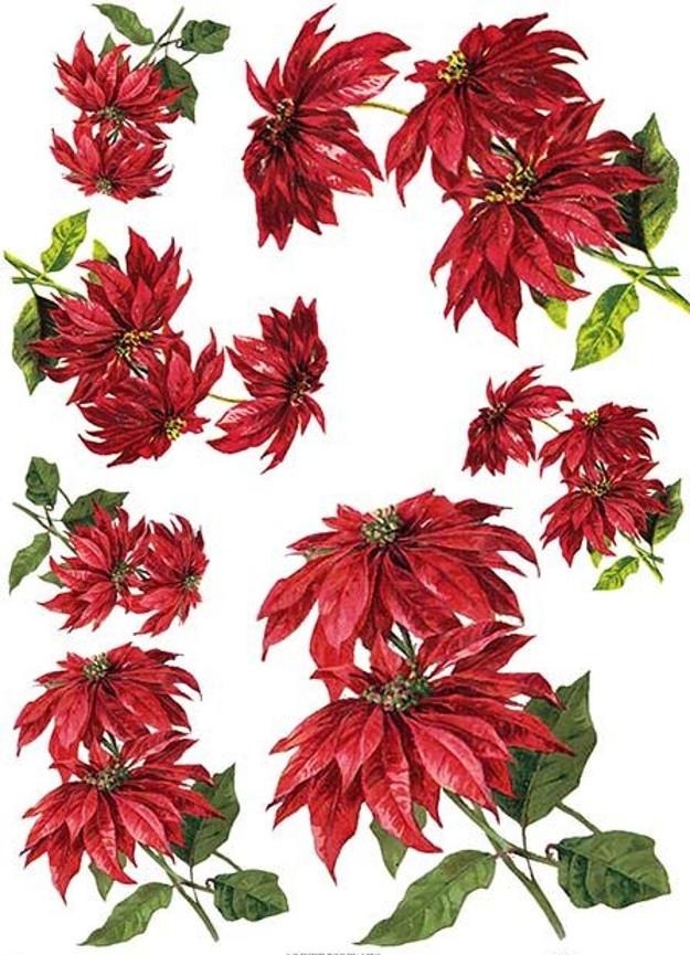 Reispapier A4 - Weihnachtsstern - Bastelschachtel