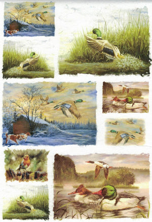 Reispapier A4 - Wildducks - Bastelschachtel - Reispapier A4 - Wildducks