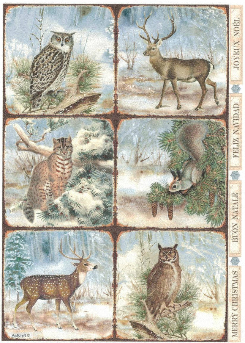 Reispapier A4 - Winter forest framed animals - Bastelschachtel