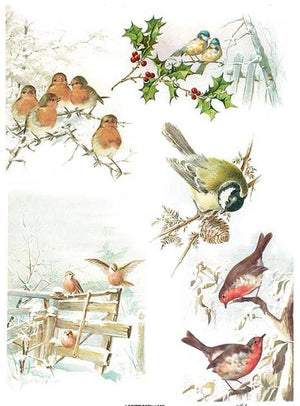 Reispapier A4 - Wintervögel 1. - Bastelschachtel - Reispapier A4 - Wintervögel 1.