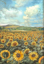 Reispapier Selection A4 - Sunflower Art - Bastelschachtel