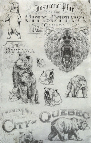 Reispapier A4 - Canadian bears - Bastelschachtel - Reispapier A4 - Canadian bears