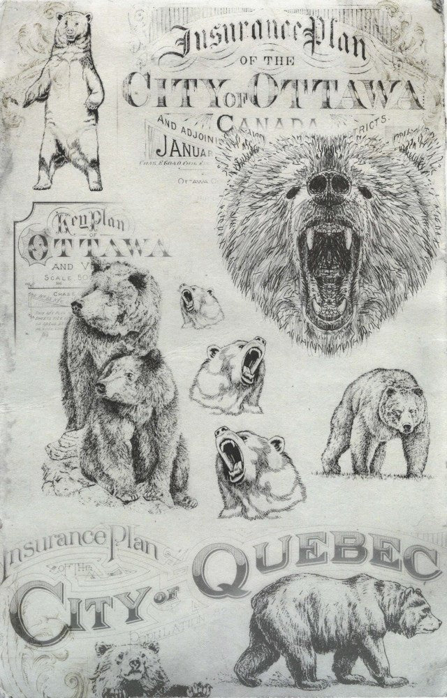 Reispapier A4 - Canadian bears