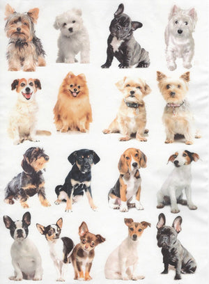 Reispapier A4 - Dog portraits - Bastelschachtel - Reispapier A4 - Dog portraits