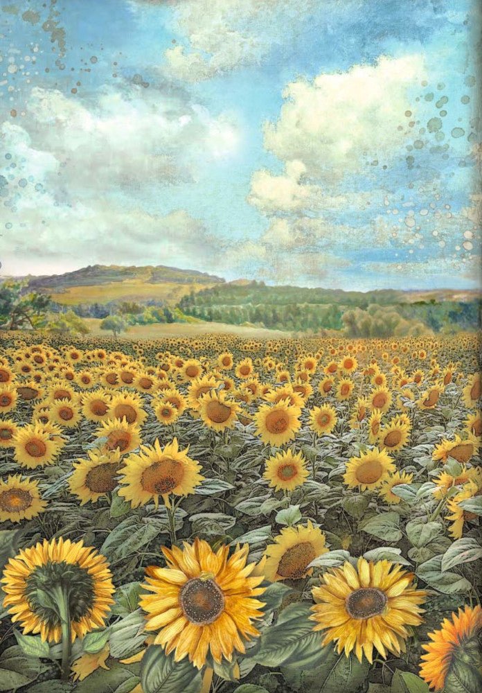 A4 Reispapier Selection - Sunflower Art - Bastelschachtel - A4 Reispapier Selection - Sunflower Art