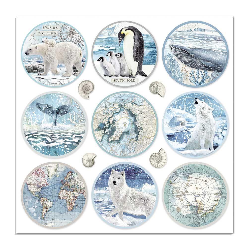 Scrapbook Papier 30,5x30,5cm - Rounds - Bastelschachtel