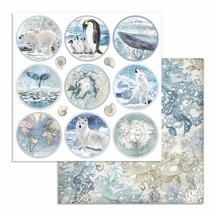 Scrapbook Papier 30,5x30,5cm - Rounds