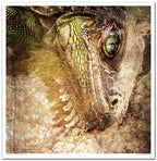 Scrapbook Papierblock 12,2"x12,6" - An undiscouered magical world - Bastelschachtel