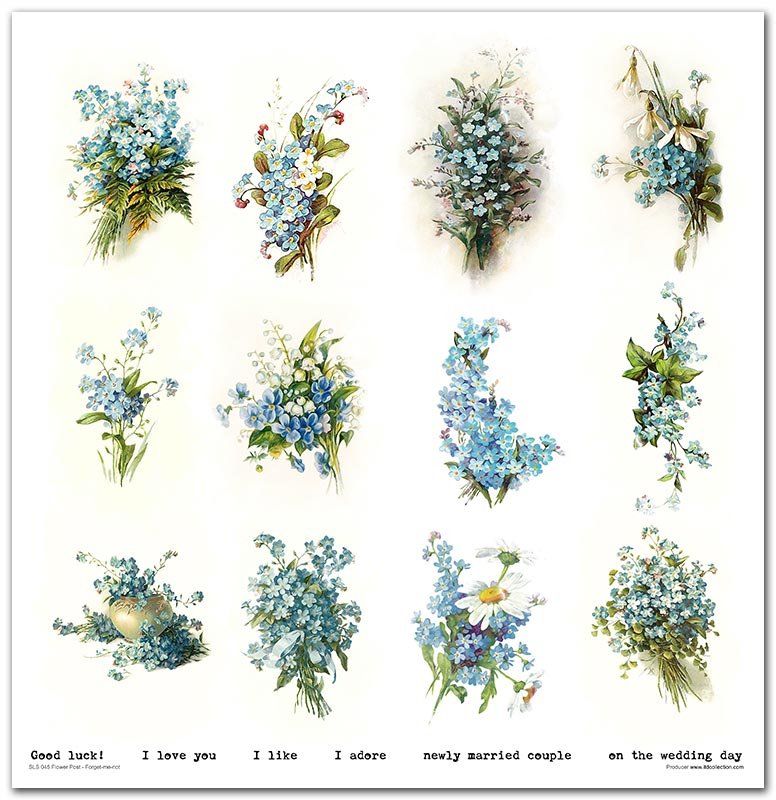 Scrapbook Papierblock 12,2"x12,6" - Flower post - forget-me-not - Bastelschachtel
