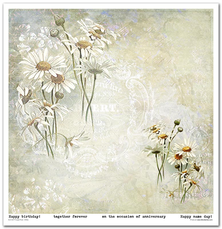 Scrapbook Papierblock 12,2"x12,6" - Flower post white - Bastelschachtel