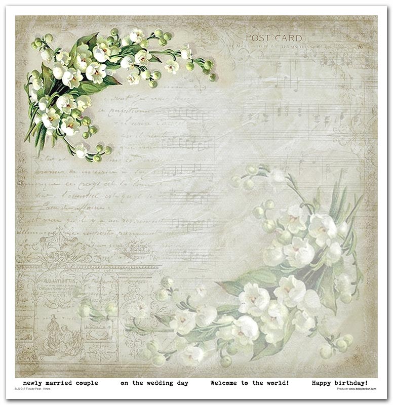Scrapbook Papierblock 12,2"x12,6" - Flower post white - Bastelschachtel