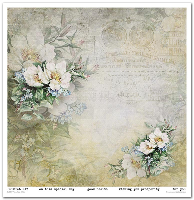 Scrapbook Papierblock 12,2"x12,6" - Flower post white - Bastelschachtel