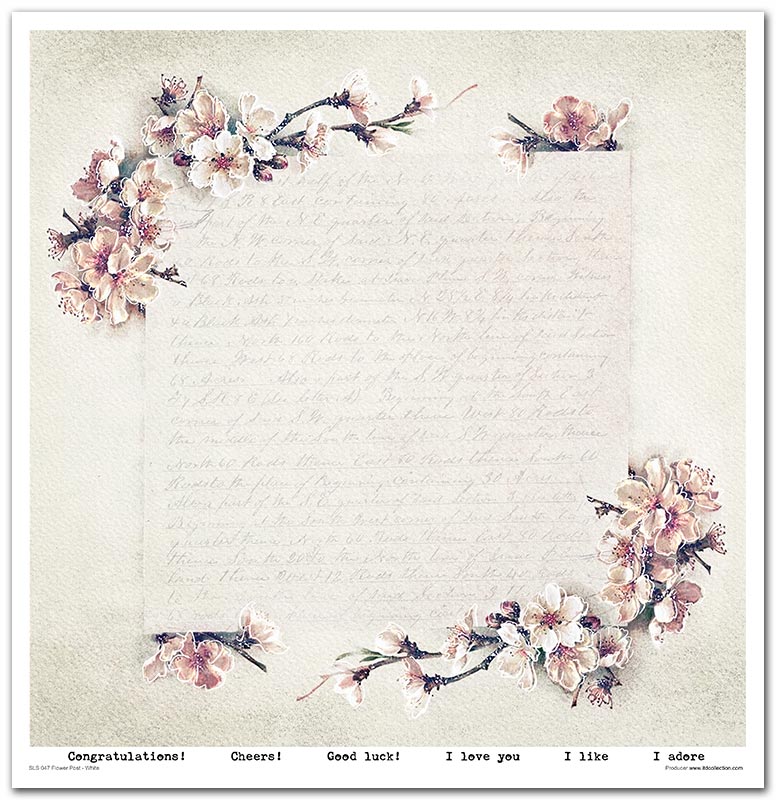 Scrapbook Papierblock 12,2"x12,6" - Flower post white - Bastelschachtel